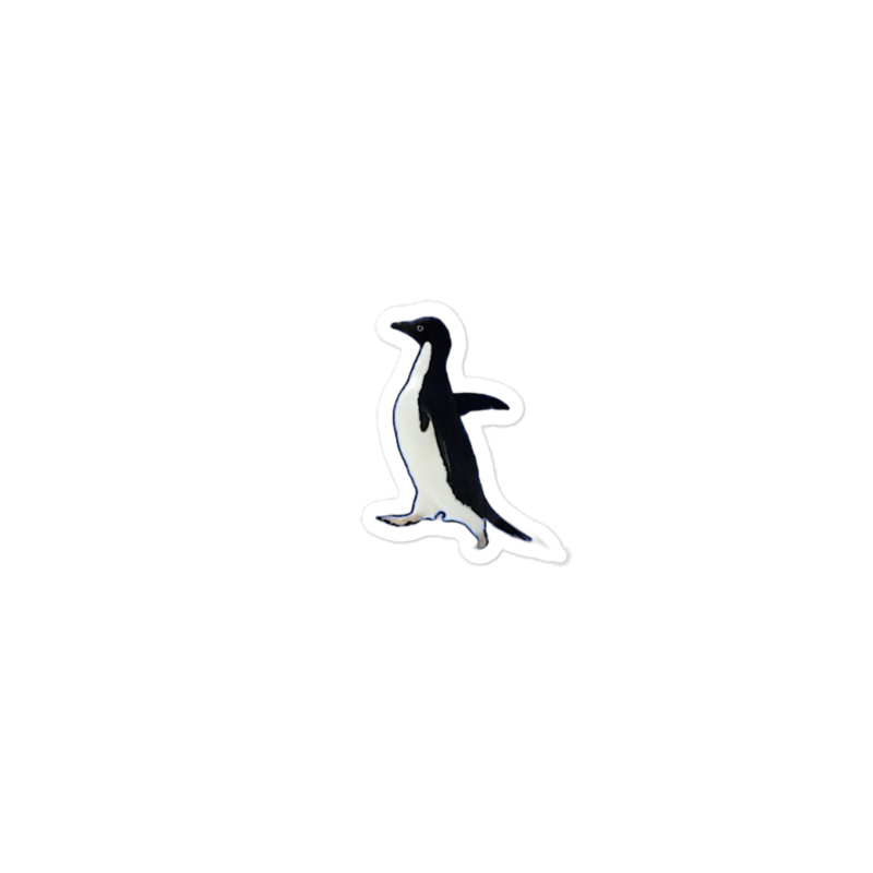 Socially Awkward Penguin Sticker mockup